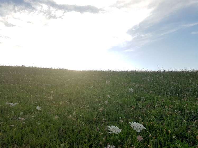 516 Sulby Drive Kawhia_6