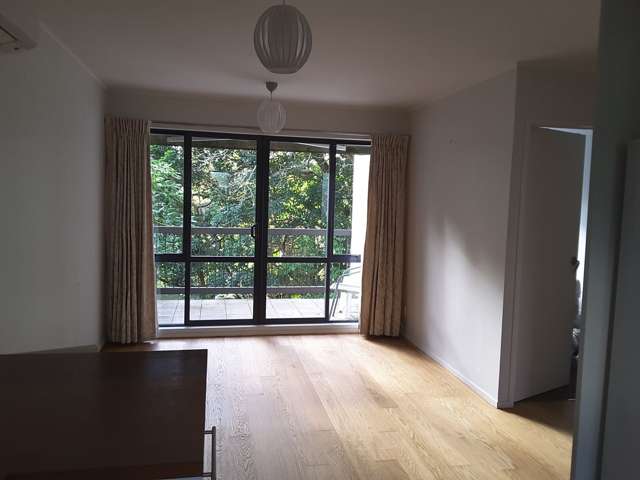 1/26 Scarborough Terrace Parnell_2