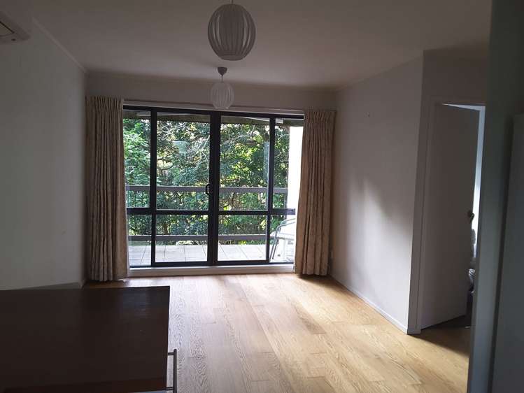 1/26 Scarborough Terrace Parnell_2