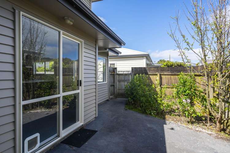 10 Trafalgar Street Johnsonville_13