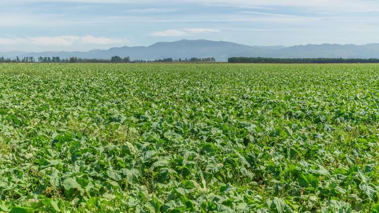 1051 Carleton Road Oxford_15