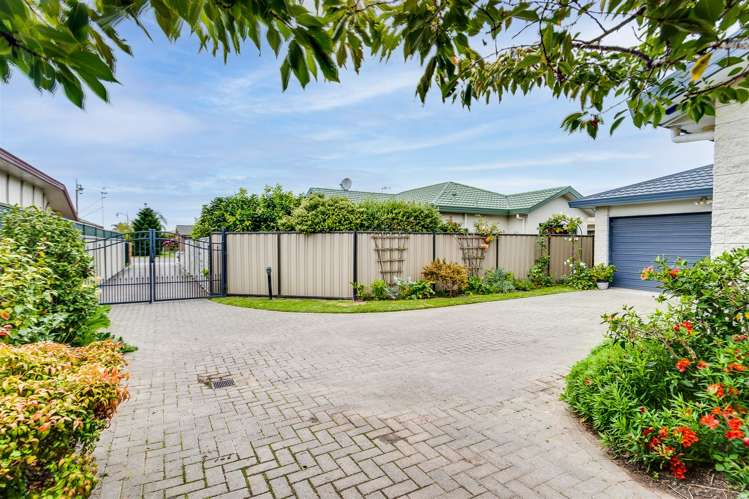 123a Ascot Avenue Taradale_2