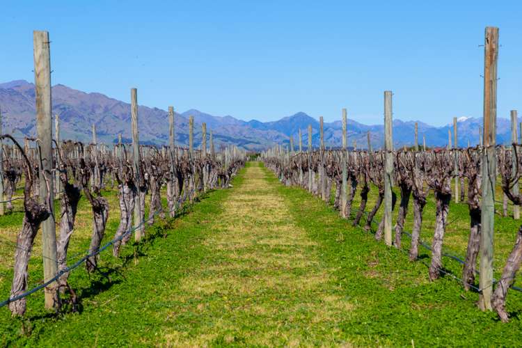 97 Shandon Road Waihopai Valley_9