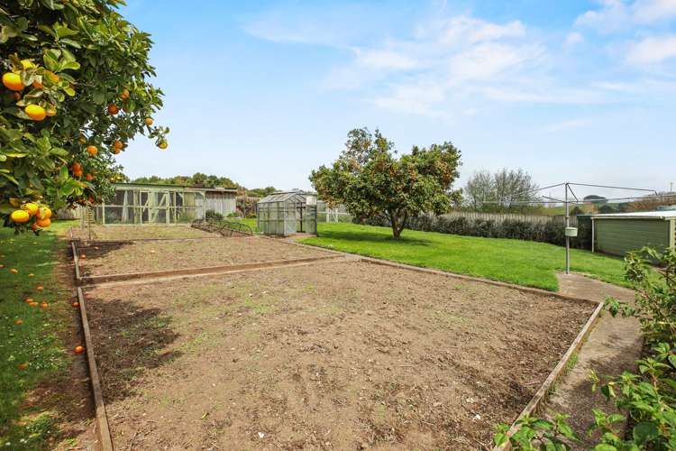 384 Waikeria Road Kihikihi_21