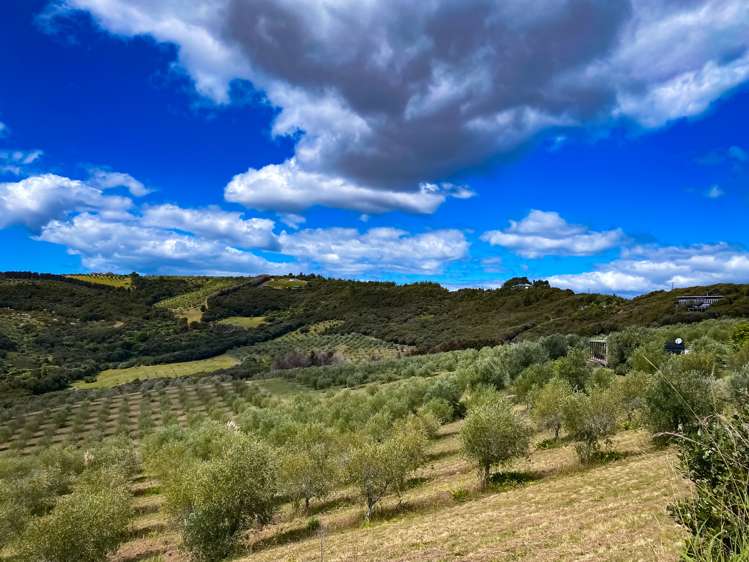 92 Frantoio Ridge Road Mangonui_18