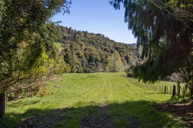 43B Walls Road Waihi_9