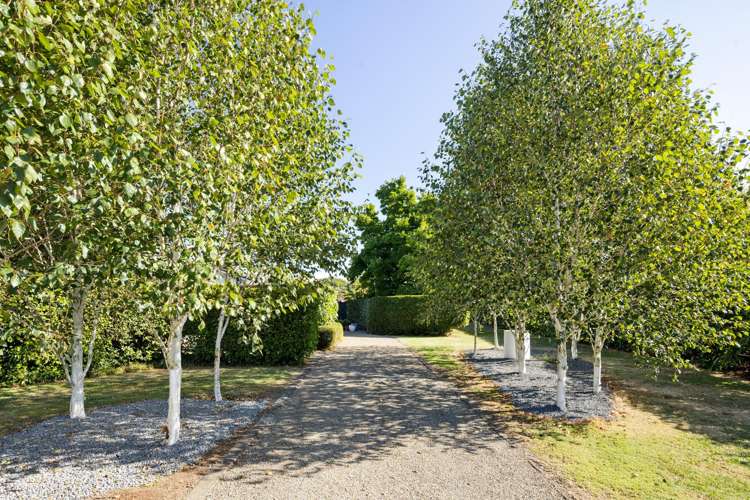 1242 Kaipaki Road Cambridge_10