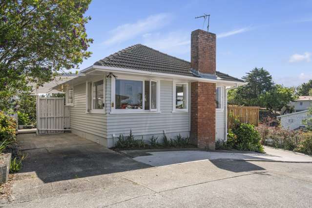 6 Reiman Street New Lynn_1