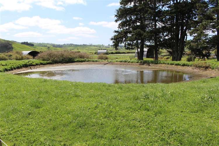 65 Willows Road Waihi_13