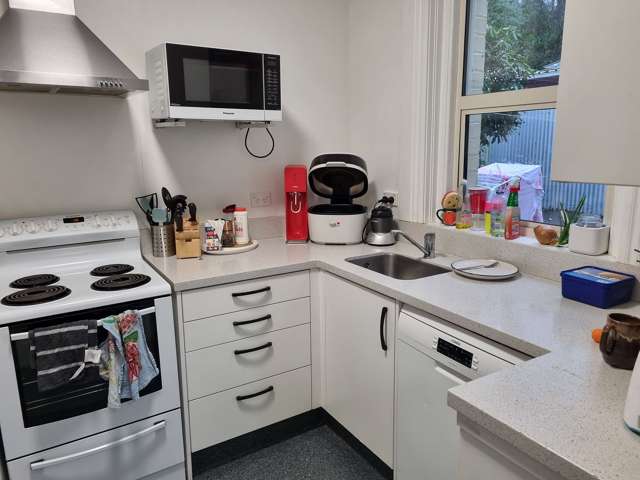 653 George Street North Dunedin_3