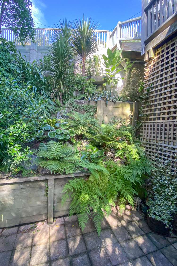 84 Volga Street Island Bay_19