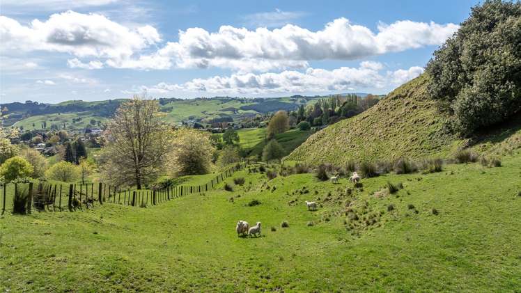 26 State Highway 3 Te Kuiti_23