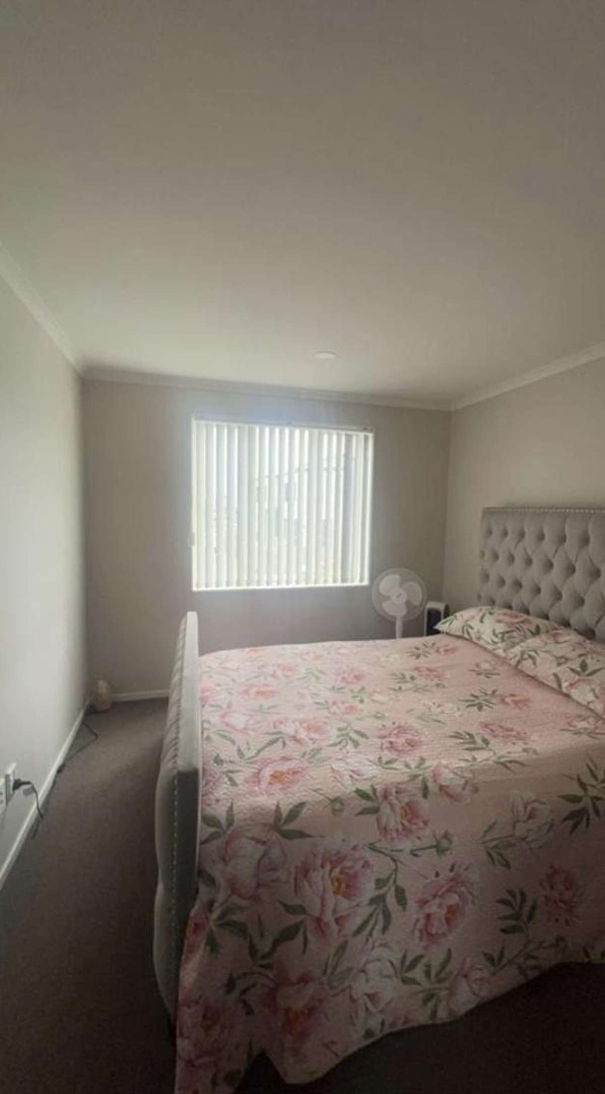 29 Saddleback Crescent_4