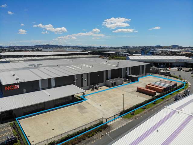 Savill Drive Otahuhu_2