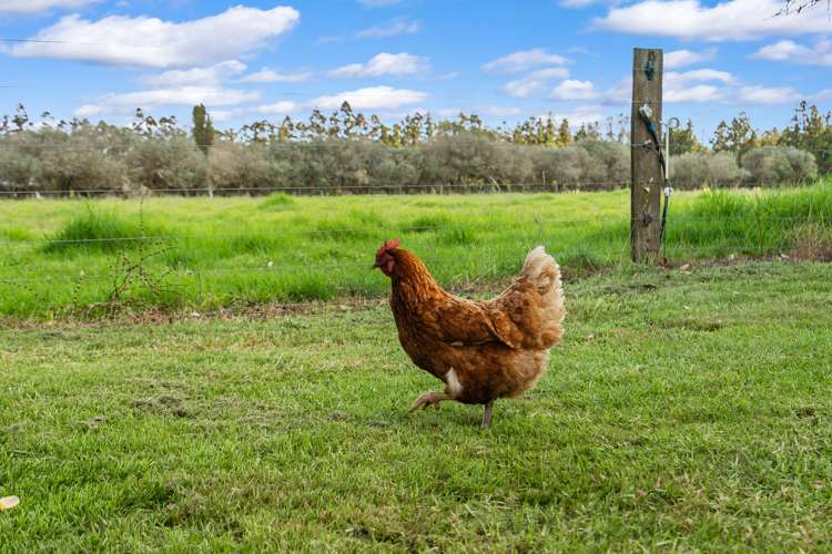 748 One Tree Point Road Ruakaka_26