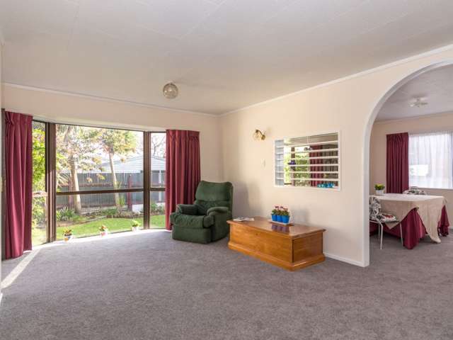 29a Campbell Street Palmerston North Central_2