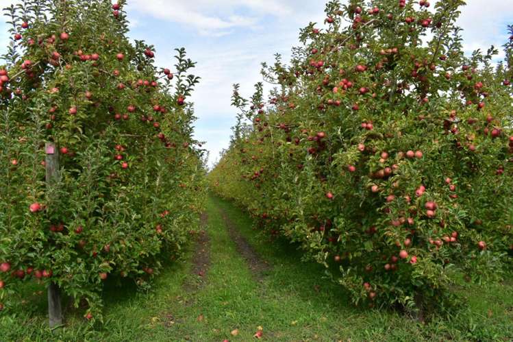 64 Parkhill Road Haumoana_31