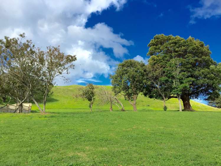 39 Roseman Avenue Mount Roskill_10