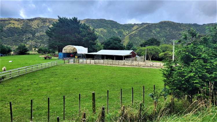 1296 Coast Road Wainuiomata Coast_27