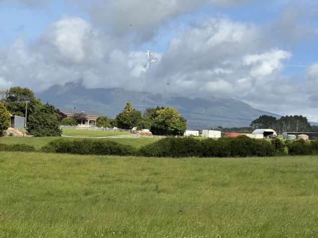 300 Opunake Road Cardiff_2