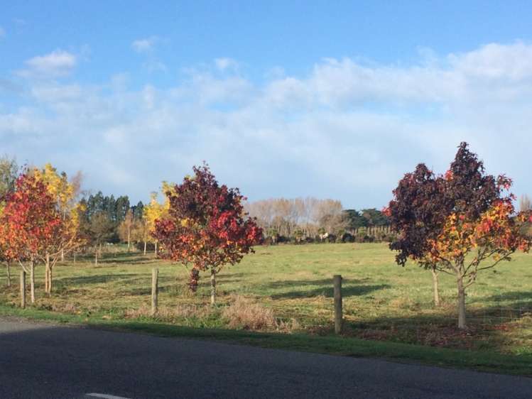 299 Perymans Road Lincoln_9