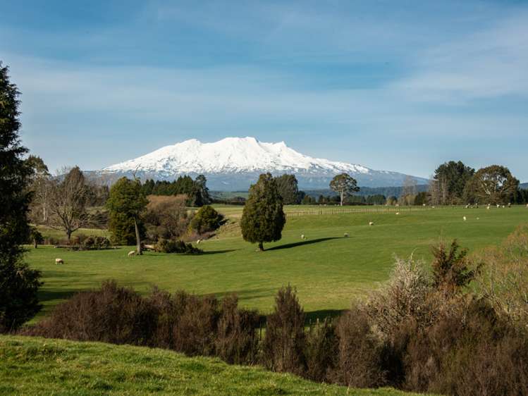 State Highway 4 Owhango_12