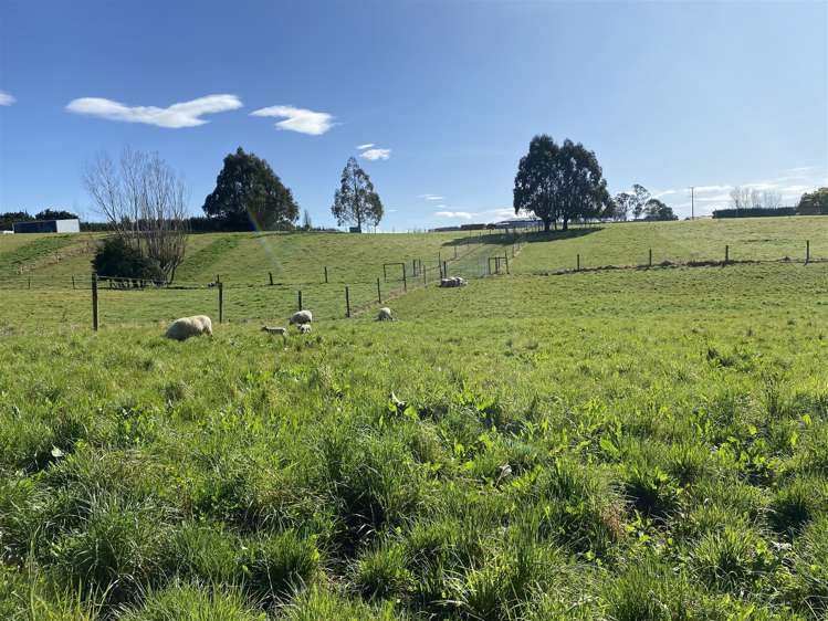 799 Brockley Road Rosewill_15