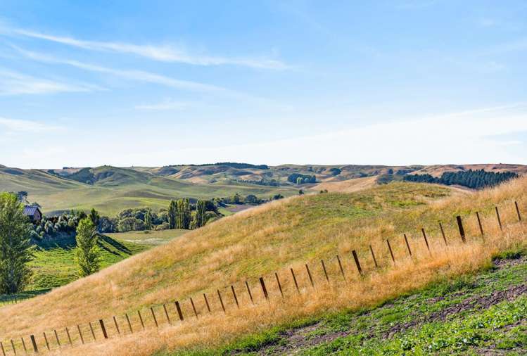 Lot Lot 2/741 Matapiro Road Crownthorpe_7
