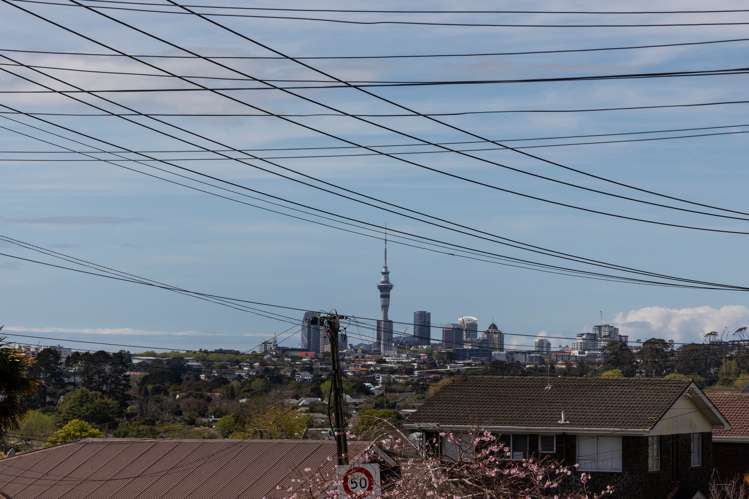 9 Seaview Terrace Mount Albert_14