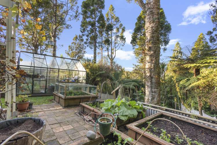 23 Tawini Road Titirangi_22