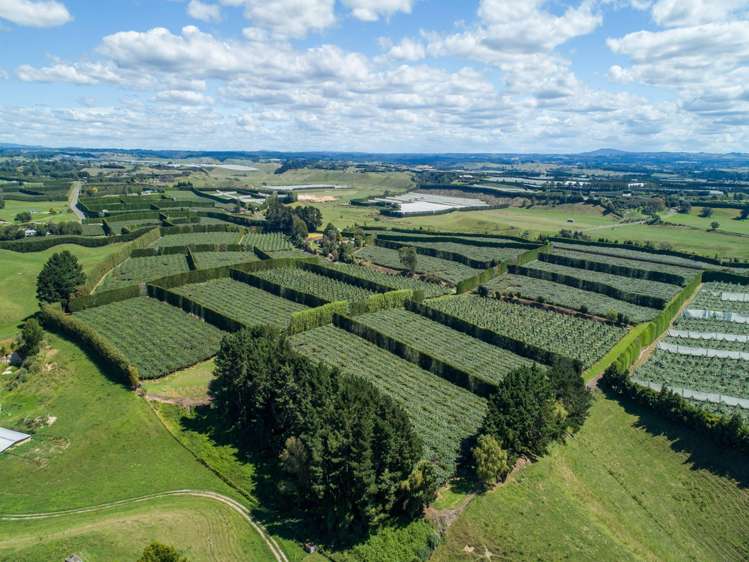 331 Maniatutu Road Pongakawa_24