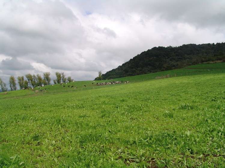 246 Kakepuku Road Te Awamutu_18