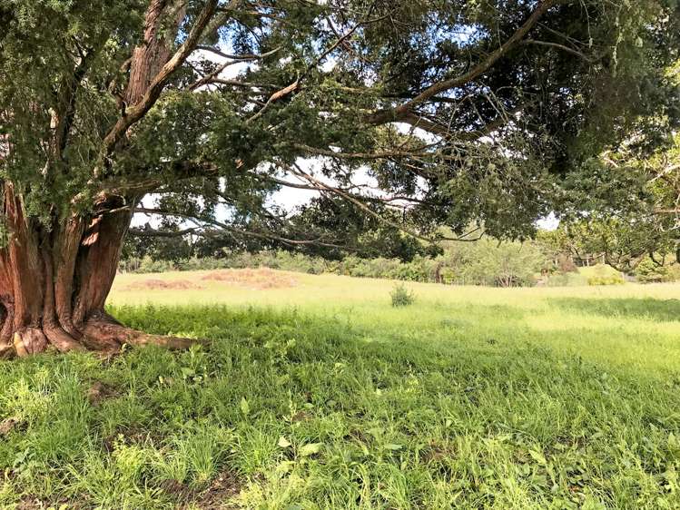 525 Whatitiri Road Poroti_6