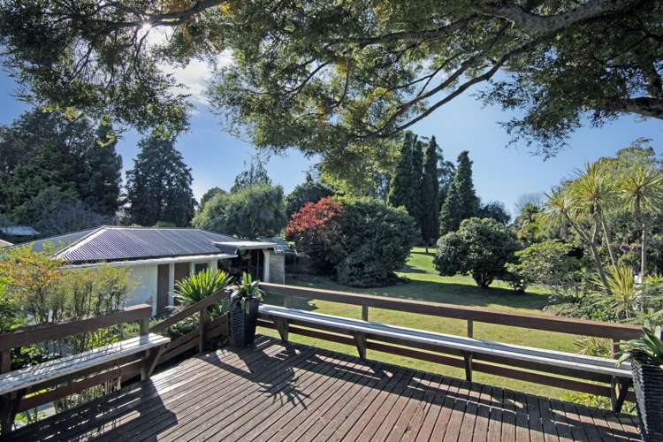 145 Thorp Street Motueka_3