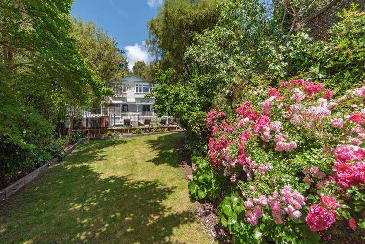 23 Brougham Street Nelson_33