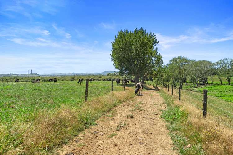 458 Rotowaro Road Huntly_16