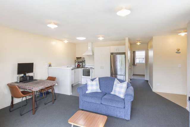 38 Opawa Road Waltham_3