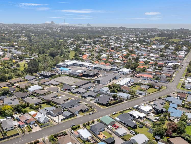 391 Carrington Street Vogeltown_29