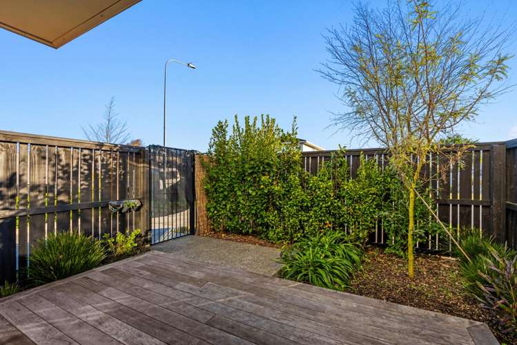 52b Picton Avenue Riccarton_11