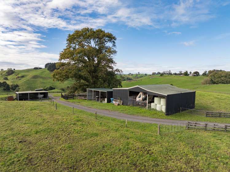 1239 Waotu Road Putaruru_10