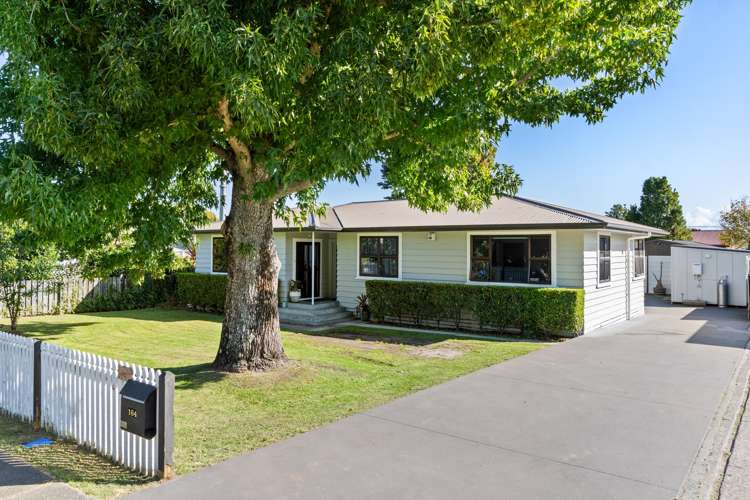 164 Whitaker Street Whataupoko_0