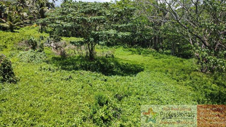 Address withheld Taveuni_13