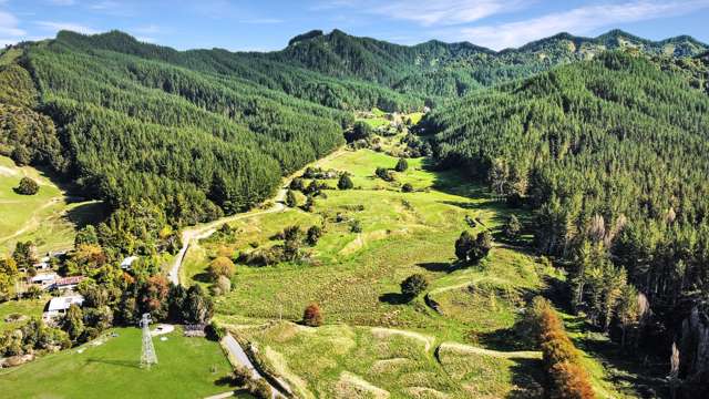 Okaihae Road Taumarunui_4
