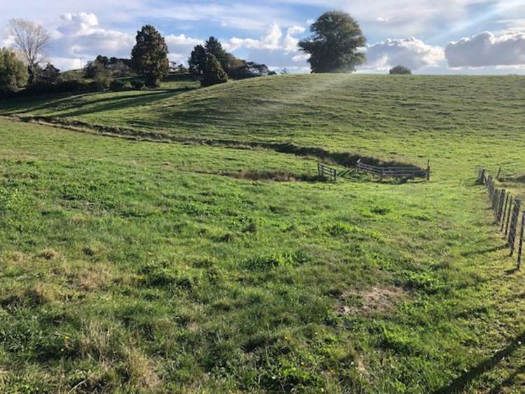 State Highway 3 Waitomo_6