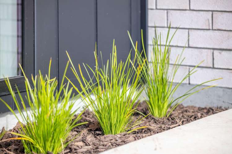 252 Korimako Drive Te Awamutu_27