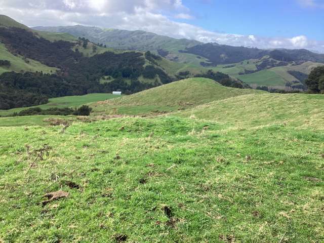 Lot 2, 607 Mangawara Road Morrinsville_4