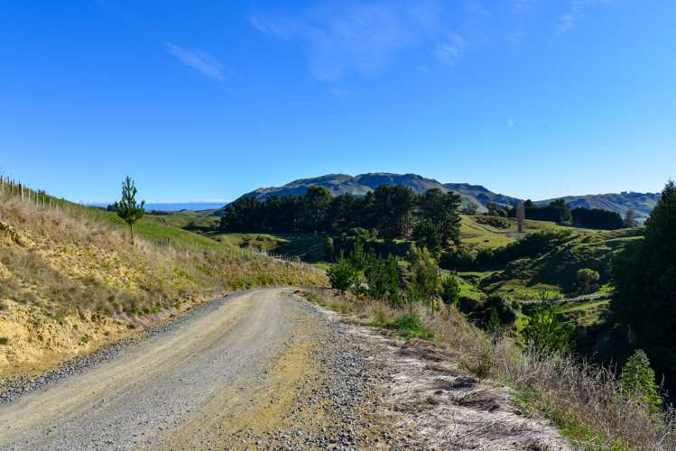 1277 Maraetotara Road Central Hawkes Bay Coastal_19