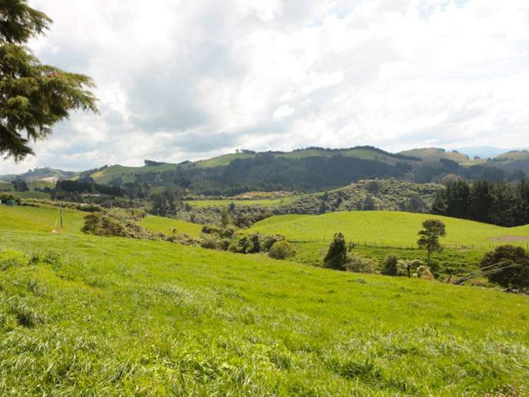 456 Rocky Cutting Road Kaimai_5