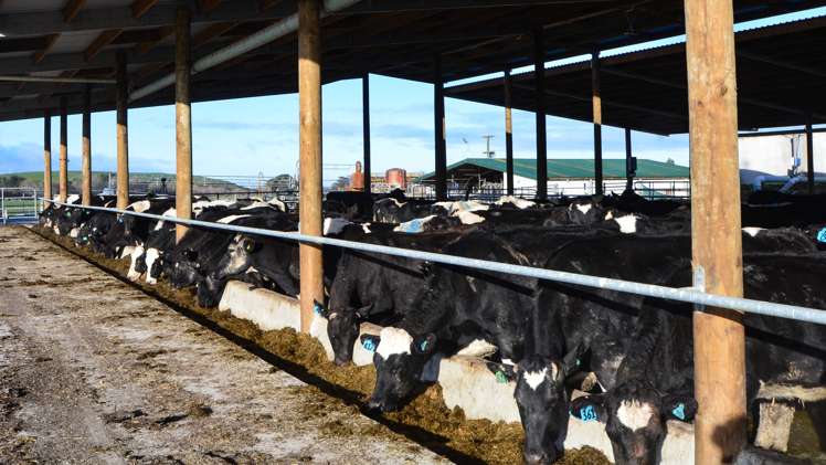 60 Moncurs Road West Otago Surrounds_15