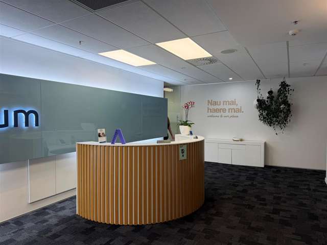 Level 8, 40 Mercer Street Wellington Central_2